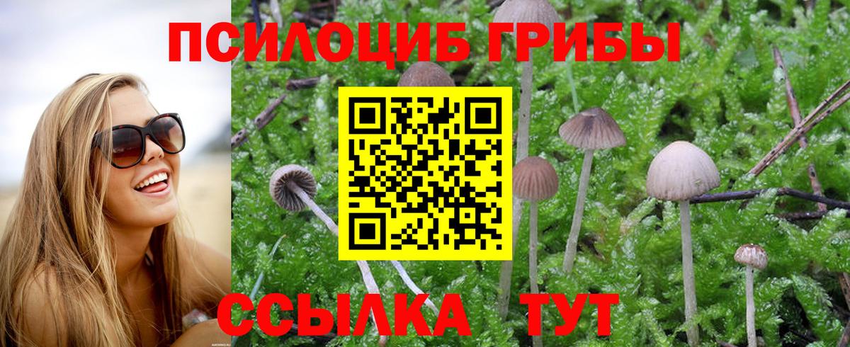 Галлюциногенные грибы Magic Shrooms  Волгодонск  Псилоцибиновые грибы Psilocybe 