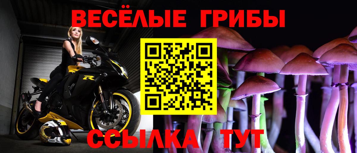 Псилоцибиновые грибы MAGIC MUSHROOMS Волгодонск