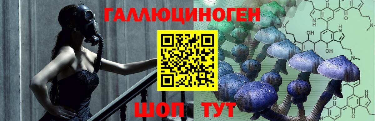 Псилоцибиновые грибы Magic Shrooms  наркотики  Волгодонск  Вход с VPN 
